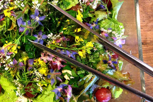 Thumbnail image for Flower Salad